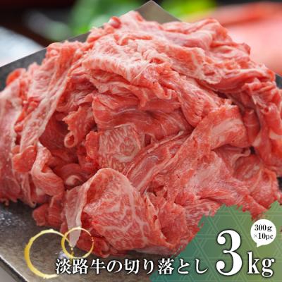 ふるさと納税 淡路市 淡路牛の切り落とし3.0kg(300g×10パック)　at04894 | 
