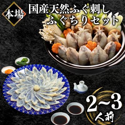 ふるさと納税 下関市 ふぐ刺身・ちりセット(2-3人前)