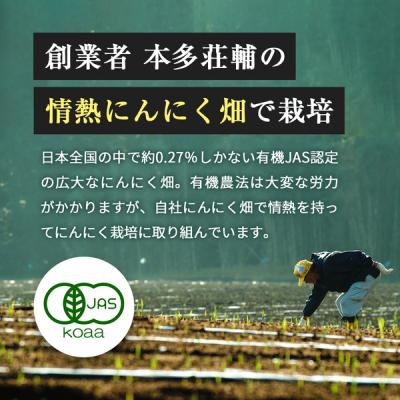 ふるさと納税 霧島市 伝統にんにく卵黄・極(1袋31粒入)【健康家族】 K