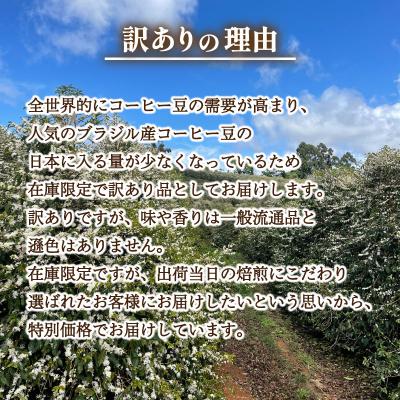 ふるさと納税 下関市 【豆】 訳あり コーヒー豆 800g(400g×2袋) ブラジル EW144-A-x |  | 01