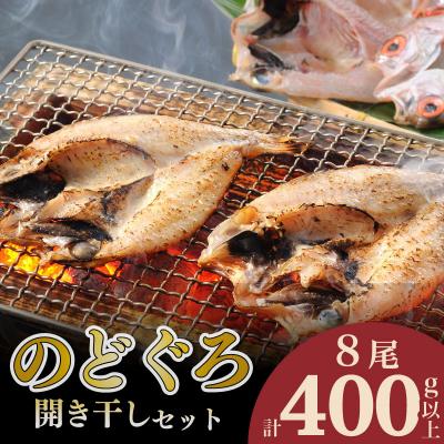 ふるさと納税 下関市 下関産のどぐろ開き干しセット8尾 AS137-NT