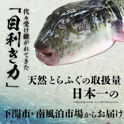 ふるさと納税 下関市 天然ふぐ刺身&ふぐちり&唐揚げセット 冷凍 まふぐ刺し身 ふぐ鍋 BV017 |  | 02