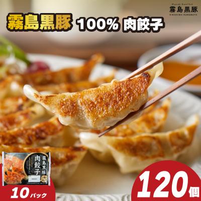 ふるさと納税 下関市 訳あり 霧島黒豚肉100%肉餃子 12粒×10パック(120粒) 冷凍 小分け 黒豚餃子