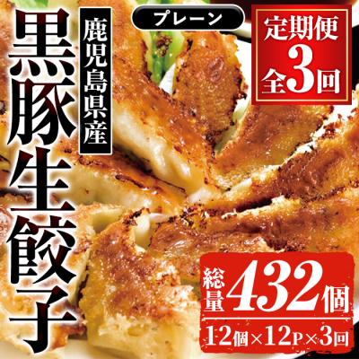 ふるさと納税 いちき串木野市 [3か月定期便]人気の鹿児島黒豚生餃子 合計144個(12個×12P)を3回お届け