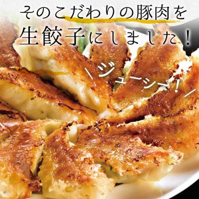 ふるさと納税 いちき串木野市 【3か月定期便】人気の鹿児島黒豚生餃子 合計144個(12個×12P)を3回お届け_2
