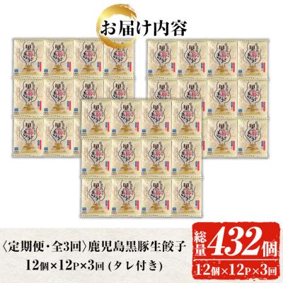 ふるさと納税 いちき串木野市 【3か月定期便】人気の鹿児島黒豚生餃子 合計144個(12個×12P)を3回お届け_3