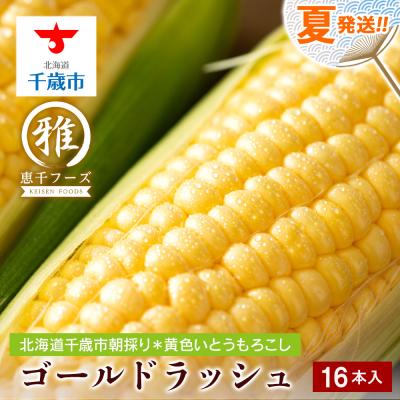 ふるさと納税 千歳市 【2027年夏発送】 とうもろこし ゴールドラッシュ L〜2L 16本 | 