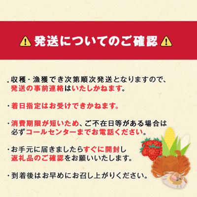 ふるさと納税 千歳市 【2027年夏発送】 とうもろこし ゴールドラッシュ L〜2L 16本 |  | 02