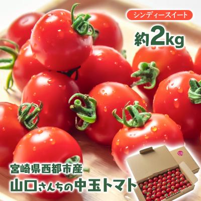 ふるさと納税 西都市 山口さんちの中玉トマト 約2kg シンディースイート 宮崎県西都市産[先行受付][2248]