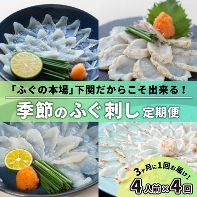 ふるさと納税 下関市 [定期便4回]季節のふぐ刺し 4種類×4人前 冷凍 3ヶ月に1回