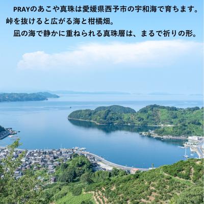 ふるさと納税 西予市 <明浜産あこや真珠8.5mm　希少グレー系 K10YGフープピアス> パール　アクセサリー_3