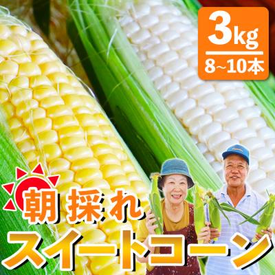 ふるさと納税 香南市 とうもろこし 朝採れスイートコーン 3kg (8〜10本) sg-0005