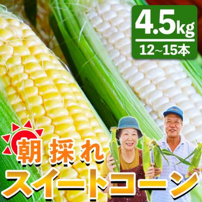 ふるさと納税 香南市 朝採れスイートコーン 4.5kg(12〜15本) sg-0006