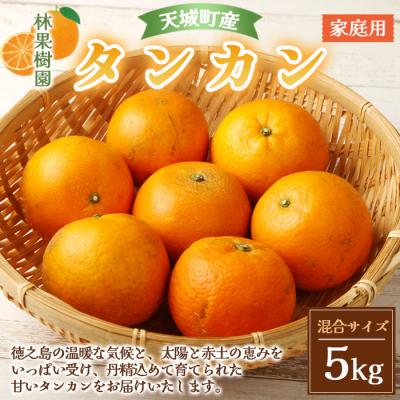 ふるさと納税 天城町 徳之島 天城町 林果樹園 徳之島産 タンカン ご家庭用 混合サイズ 5kg 柑橘 タンカン みかん
