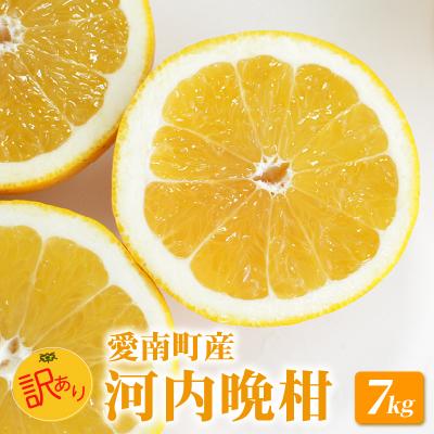 ふるさと納税 愛南町 先行受付 訳あり 河内晩柑 7kg 愛南ゴールド 愛媛県 愛南町 山口農園
