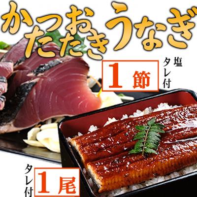 ふるさと納税 室戸市 [数量限定]うなぎの蒲焼き1尾とかつおのたたき1節 食べ比べセット