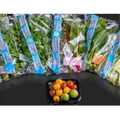 ふるさと納税 津島市 「川助農園」季節の野菜セット