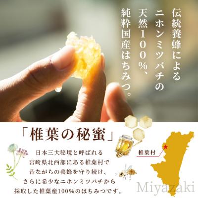 ふるさと納税 椎葉村 【秘境を味わう】椎葉の秘蜜 【150g×2本】国産天然はちみつ【数量限定】 MS-08_2