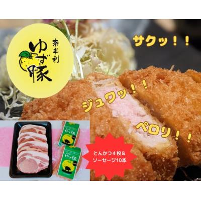 ふるさと納税 奈半利町 [高知のブランド豚/ゆず豚]ジューシーとんかつ&amp;ゆず豚100%ソーセージ 112013