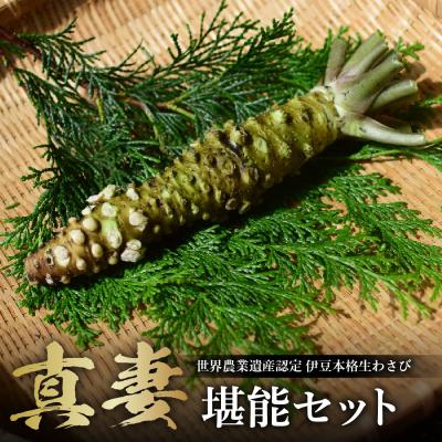 ふるさと納税 伊豆市 伊豆本格生わさび「真妻」堪能セット