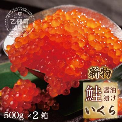 ふるさと納税 乙部町 [笹谷商店いくら 2パック(500g×2箱)]