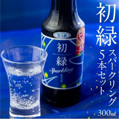 ふるさと納税 下呂市 初緑 スパークリング 300ml×5本 セット 奥飛騨酒造 [16-36]