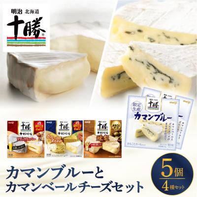 ふるさと納税 芽室町 明治北海道十勝カマンブルー含む4種5個セット me003-103c