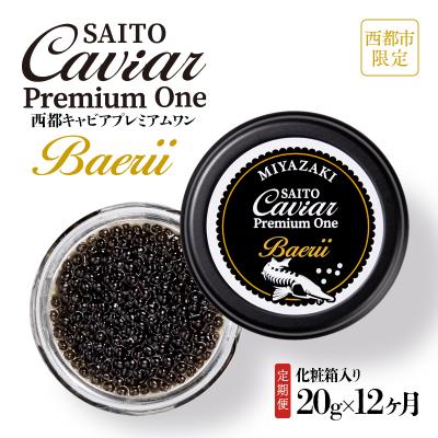 ふるさと納税 西都市 SAITO CAVIAR PREMIUM ONE BAERII 20g×12か月定期便[2760]