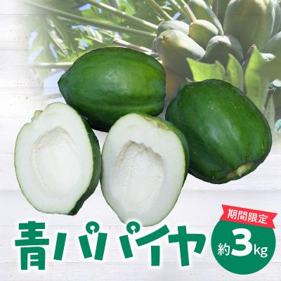 ふるさと納税 碧南市 [期間限定]青パパイヤ 約3kg スーパーフード