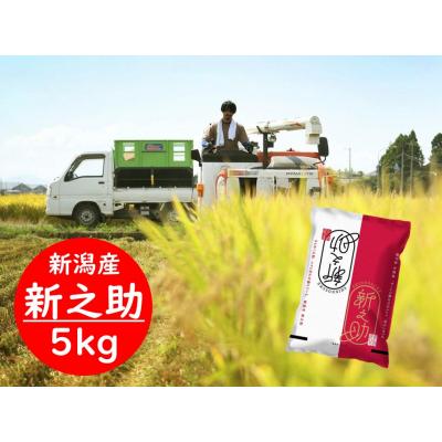ふるさと納税 阿賀野市 [令和7年産新米]新潟県阿賀野市産 新之助 5kg