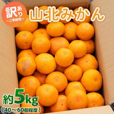 ふるさと納税 香南市 訳あり 山北みかん ご家庭用 約5kg(約40〜60個) 山北みらい yk-0042