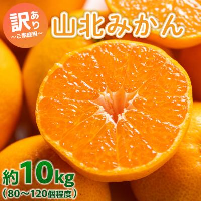 ふるさと納税 香南市 [訳あり]山北みかん ご家庭用 約10kg yk-0059