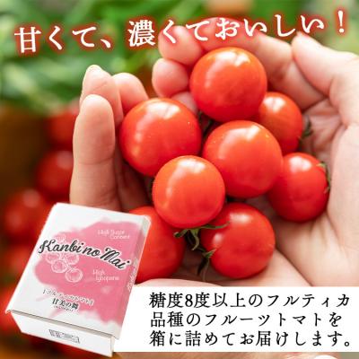 ふるさと納税 香南市 【2026年12月以降順次配送分】高糖度\u0026高機能性 フルーツトマト3kg kr-0086_2