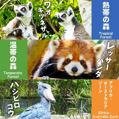 ふるさと納税 香南市 のいち動物公園の年間入園券引換券 ni-0003 |  | 02