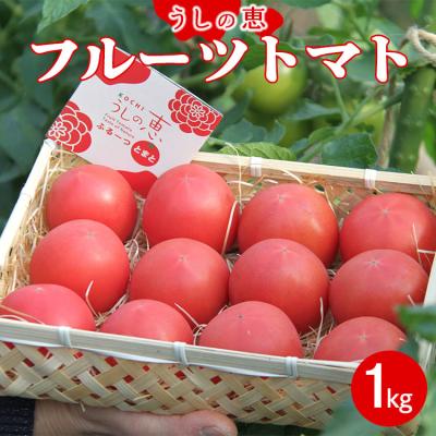 ふるさと納税 香南市 [先行受付]うしの恵 フルーツトマト籠入り1kg mj-0023