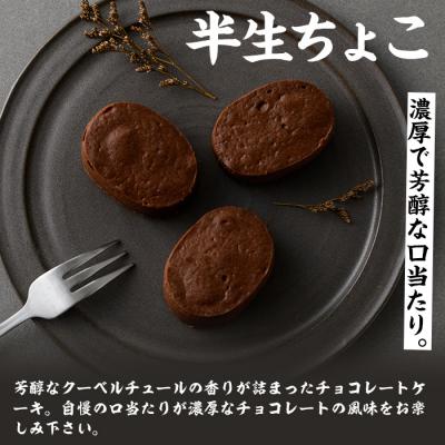 ふるさと納税 いちき串木野市 【訳あり】半生ちょこ スフレ チョコケーキ 17個 |  | 01