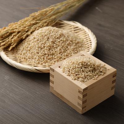 ふるさと納税 土佐清水市 令和8年産 新米 コシヒカリ 玄米10kg(1袋)　高知県産【R01736】 |  | 03