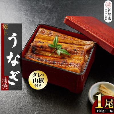 ふるさと納税 神埼市 [職人手焼き]国産特大うなぎ蒲焼1尾(約170g前後)(H097112)