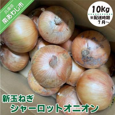 ふるさと納税 南あわじ市 新玉ねぎ シャーロットオニオン 10kg ◆配送7月上旬〜11月末 | 