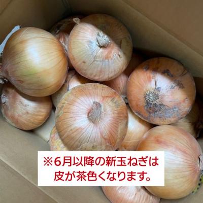 ふるさと納税 南あわじ市 新玉ねぎ シャーロットオニオン 10kg ◆配送7月上旬〜11月末 |  | 02