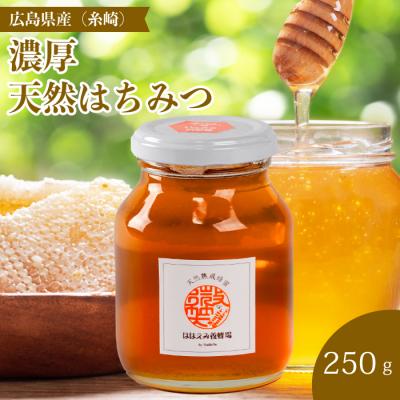 ふるさと納税 三原市 [国産 天然蜂蜜]ミニストック 熟成「濃厚はちみつ」250g (糸崎町産)[106-004]