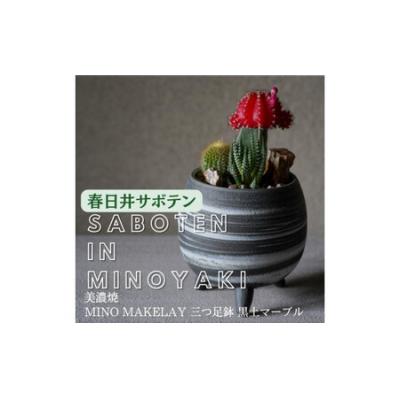 ふるさと納税 春日井市 多治見市×春日井市 MINO MAKELAY 三つ足鉢 黒土マーブル×春日井市の名店 後藤サボテン
