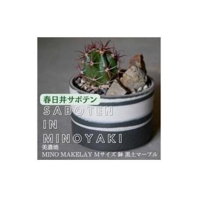 ふるさと納税 春日井市 多治見市×春日井市 MINO MAKELAY Mサイズ鉢 黒土マーブル×春日井市の名店 後藤サボテン