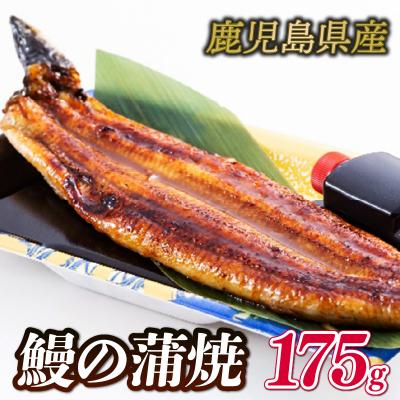 ふるさと納税 下関市 国産 鰻の蒲焼 1尾 175g