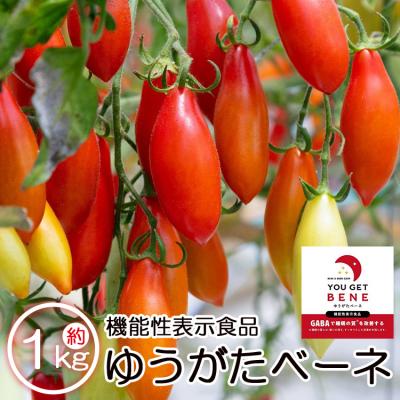 ふるさと納税 香南市 [先行受付]機能性表示食品 ミニトマト ゆうがたベーネ 1kg is-0013