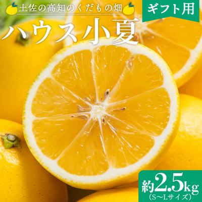 ふるさと納税 香南市 [2026年出荷分]ハウス小夏(日向夏)約2.5kg(ギフト用) 高知県 kd-0031