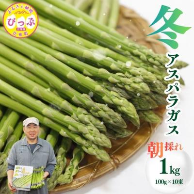 ふるさと納税 比布町 [12月下旬より発送]冬グリーンアスパラ M〜Lサイズ 1kg[菅原クリーンファーム]