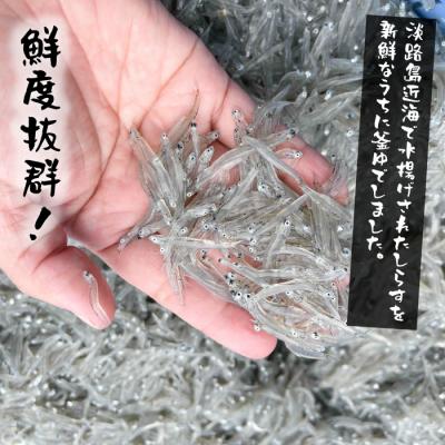 ふるさと納税 淡路市 【訳あり】淡路島・藤本水産 しらす釜揚げ 業務用サイズ1kg入り　ah08013 |  | 01