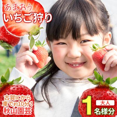 ふるさと納税 古賀市 60分食べ放題!いちご狩りチケット!<大人1名様分×1枚>