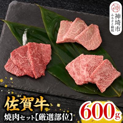 ふるさと納税 神埼市 牧場直送 佐賀牛焼肉セット(厳選部位)(H106235)